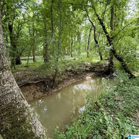 0 Poplar Trl #1, Warrior, AL 35180