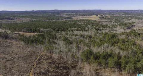 0 County Road 49 #0, Fruithurst, AL 36262 photo 12