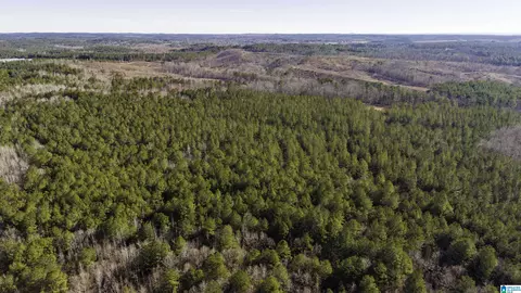 0 County Road 49 #0, Fruithurst, AL 36262 photo 14