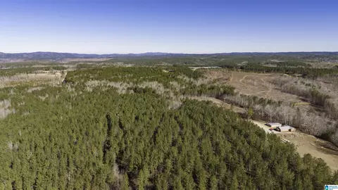 0 County Road 49 #0, Fruithurst, AL 36262 photo 9