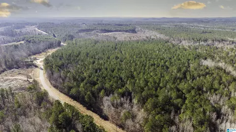 0 County Road 49 #0, Fruithurst, AL 36262 photo 3