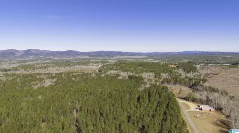 0 County Road 49 #0, Fruithurst, AL 36262 photo 11