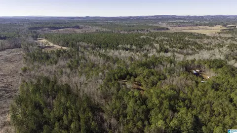 0 County Road 49 #0, Fruithurst, AL 36262 photo 6