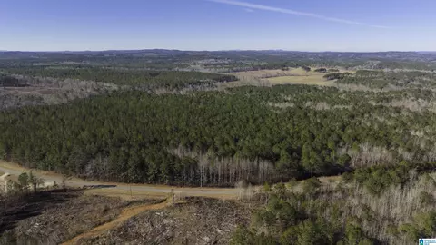 0 County Road 49 #0, Fruithurst, AL 36262 photo 4