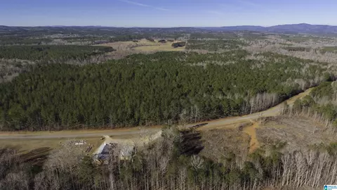 0 County Road 49 #0, Fruithurst, AL 36262 photo 5