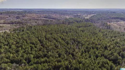 0 County Road 49 #0, Fruithurst, AL 36262 photo 13