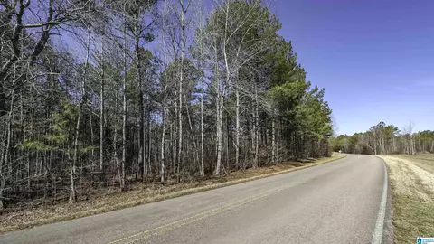 0 County Road 49 #0, Fruithurst, AL 36262 photo 2