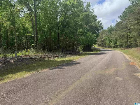 0 County Road 865 #0, Roanoke, AL 36274