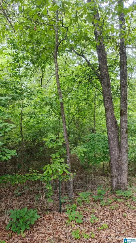 350 Paradise Acres #1, West Blocton, AL 35184