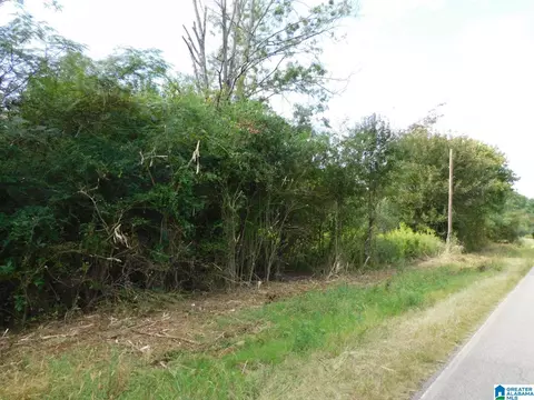 1389-1409 Creswell Rd #0, Harpersville, AL 35078