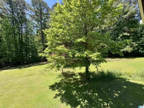 455 Spring Trl, Warrior, AL 35180 photo 43