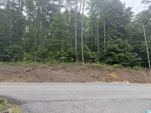 903 Morris Majestic Rd #NEW CONSTRUCTION, Morris, AL 35116