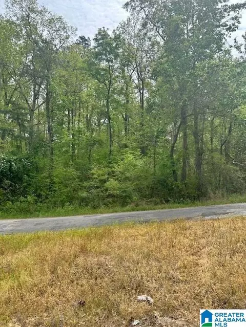 lot11 County Road 3902 #11, Arley, AL 35541