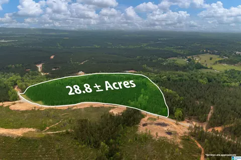 Track 17 Heritage Pines Way #17, Columbiana, AL 35040