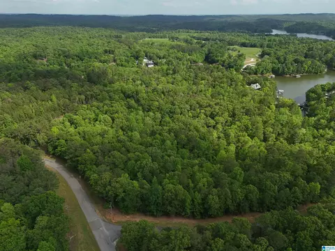 lot S 125 Red Cedar Dr #125, Wedowee, AL 36278