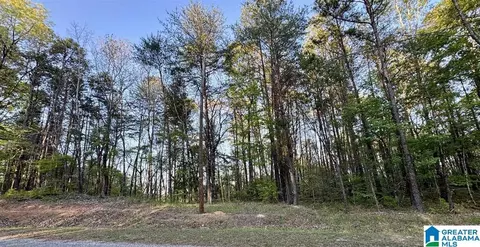 1485 Hiawatha Rd #0, Calera, AL 35040