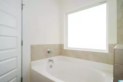 Bath - 9913 Hunter Pl, Warrior, AL 35180 photo 2 of 4