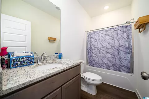 Bath - 9913 Hunter Pl, Warrior, AL 35180 photo 4 of 4