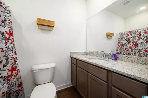 Bath - 9913 Hunter Pl, Warrior, AL 35180 photo 3 of 4