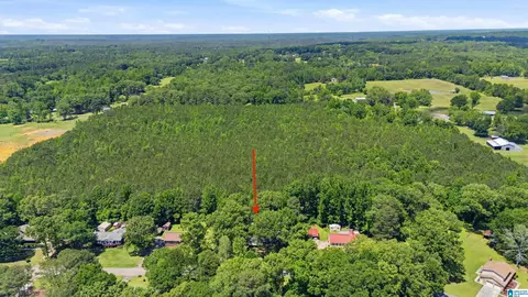View/Area - 5509 Mccaleb Dr, Dora, AL 35062 photo 1 of 3