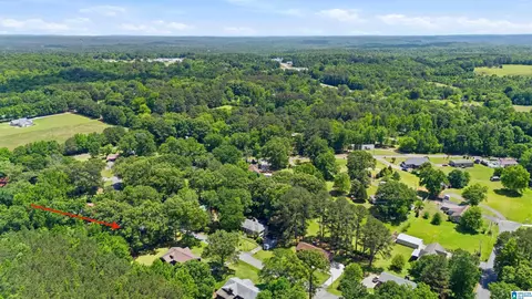 View/Area - 5509 Mccaleb Dr, Dora, AL 35062 photo 2 of 3