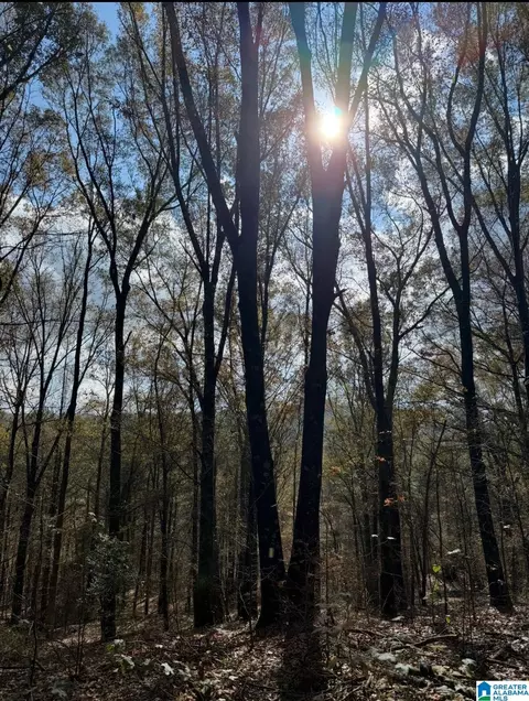0 County Road 42 #731CRES, Oneonta, AL 35121