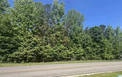 0 Springville Blvd #0, Oneonta, AL 35121