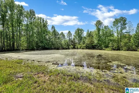 888 County Road 1663 #NONE, Cullman, AL 35058 photo 17