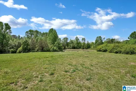 888 County Road 1663 #NONE, Cullman, AL 35058 photo 3