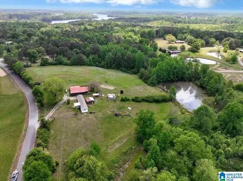 888 County Road 1663 #NONE, Cullman, AL 35058 photo 20