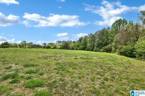 888 County Road 1663 #NONE, Cullman, AL 35058 photo 2
