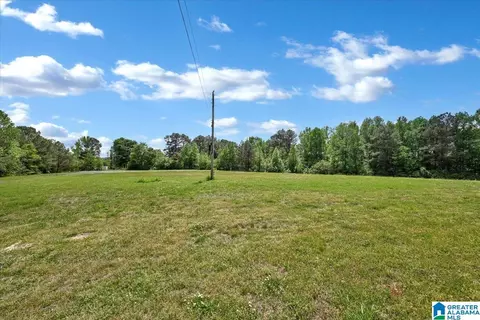 888 County Road 1663 #NONE, Cullman, AL 35058 photo 6