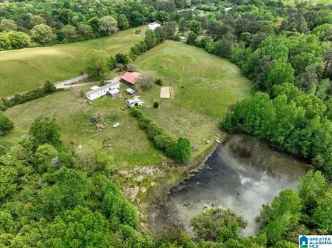 888 County Road 1663 #NONE, Cullman, AL 35058 photo 19