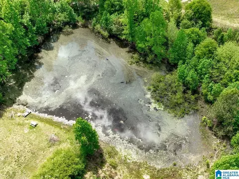 888 County Road 1663 #NONE, Cullman, AL 35058 photo 18