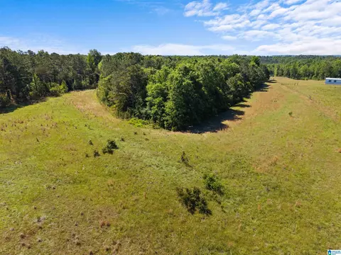 county road 16, Clanton, AL 35045 photo 7