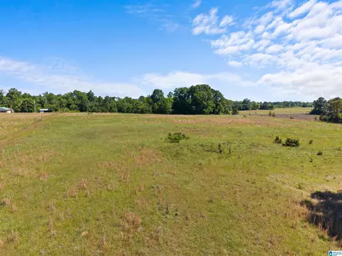 county road 16, Clanton, AL 35045 photo 4