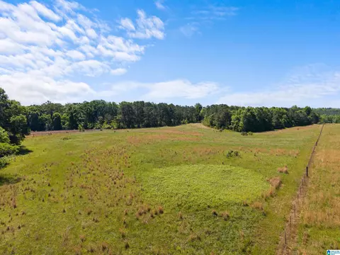 county road 16, Clanton, AL 35045 photo 5