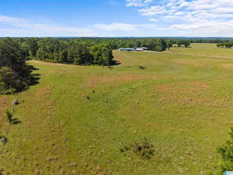 county road 16, Clanton, AL 35045 photo 6