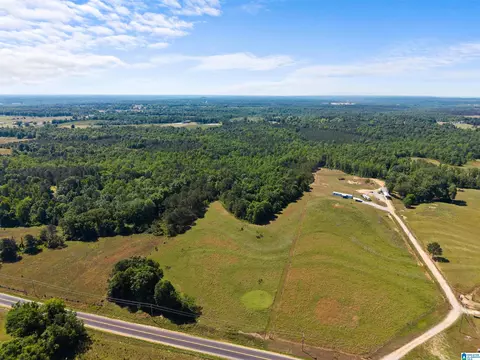 county road 16, Clanton, AL 35045 photo 3