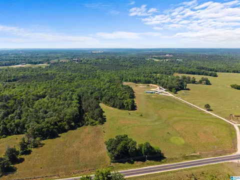 county road 16, Clanton, AL 35045 photo 2