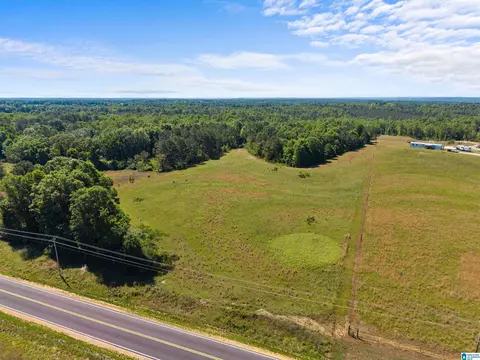 county road 16, Clanton, AL 35045 photo 8