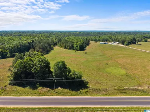 county road 16, Clanton, AL 35045 photo 9