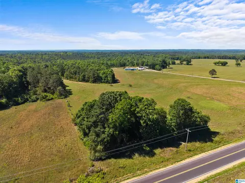 county road 16, Clanton, AL 35045 photo 10