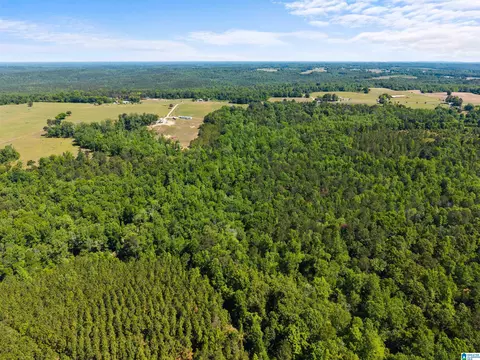 county road 16, Clanton, AL 35045 photo 13