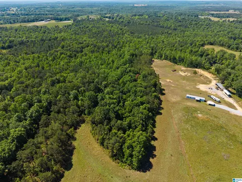 county road 16, Clanton, AL 35045 photo 12