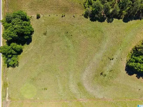 county road 16, Clanton, AL 35045 photo 11