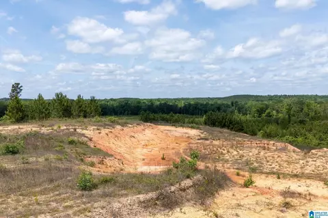 county road 16, Clanton, AL 35045 photo 16