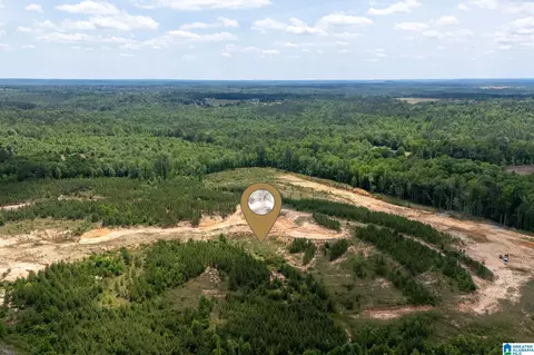 county road 16, Clanton, AL 35045 photo 11