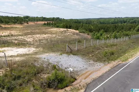 county road 16, Clanton, AL 35045 photo 26