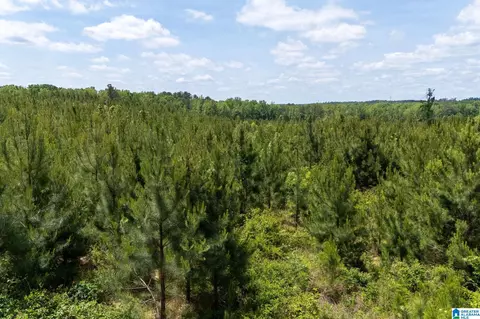 county road 16, Clanton, AL 35045 photo 21